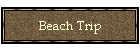Beach Trip