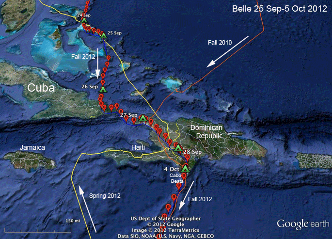 osprey migration tracking